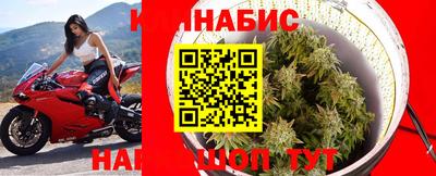 гидра Пугачёв