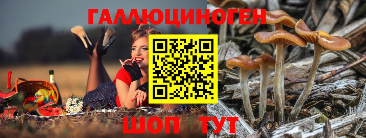 Галлюциногенные грибы Cubensis  Вход с VPN  Тавда 