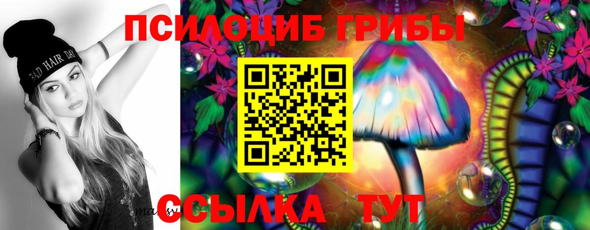 Псилоцибиновые грибы прущие грибы Тавда